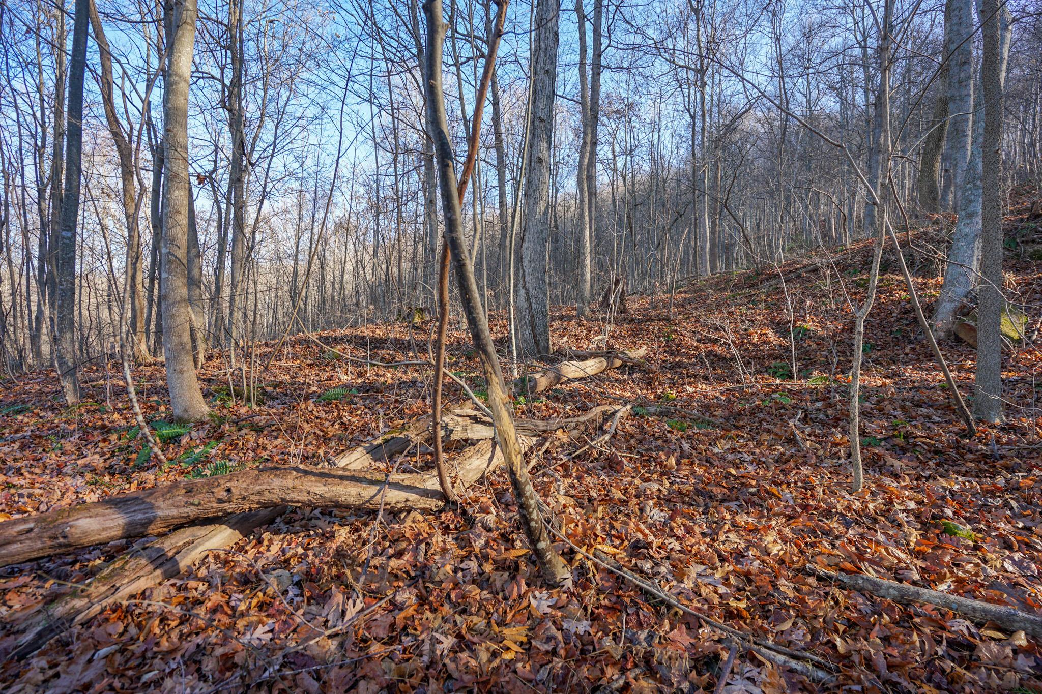 2430 Long Lick Road Stout, OH 45684 - Photo 24 of 47 DSC09737