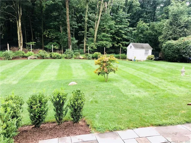 a view of a garden with a bench