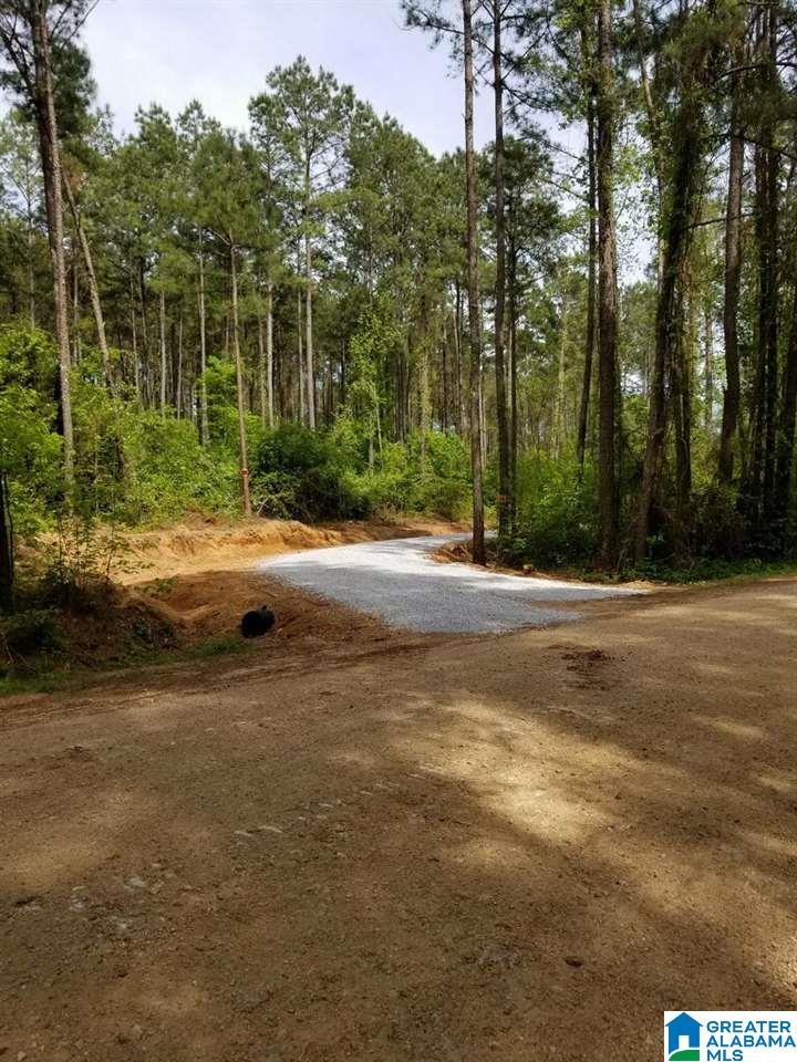 0 Gould Road Columbiana, AL 35051 - Photo 5 of 7