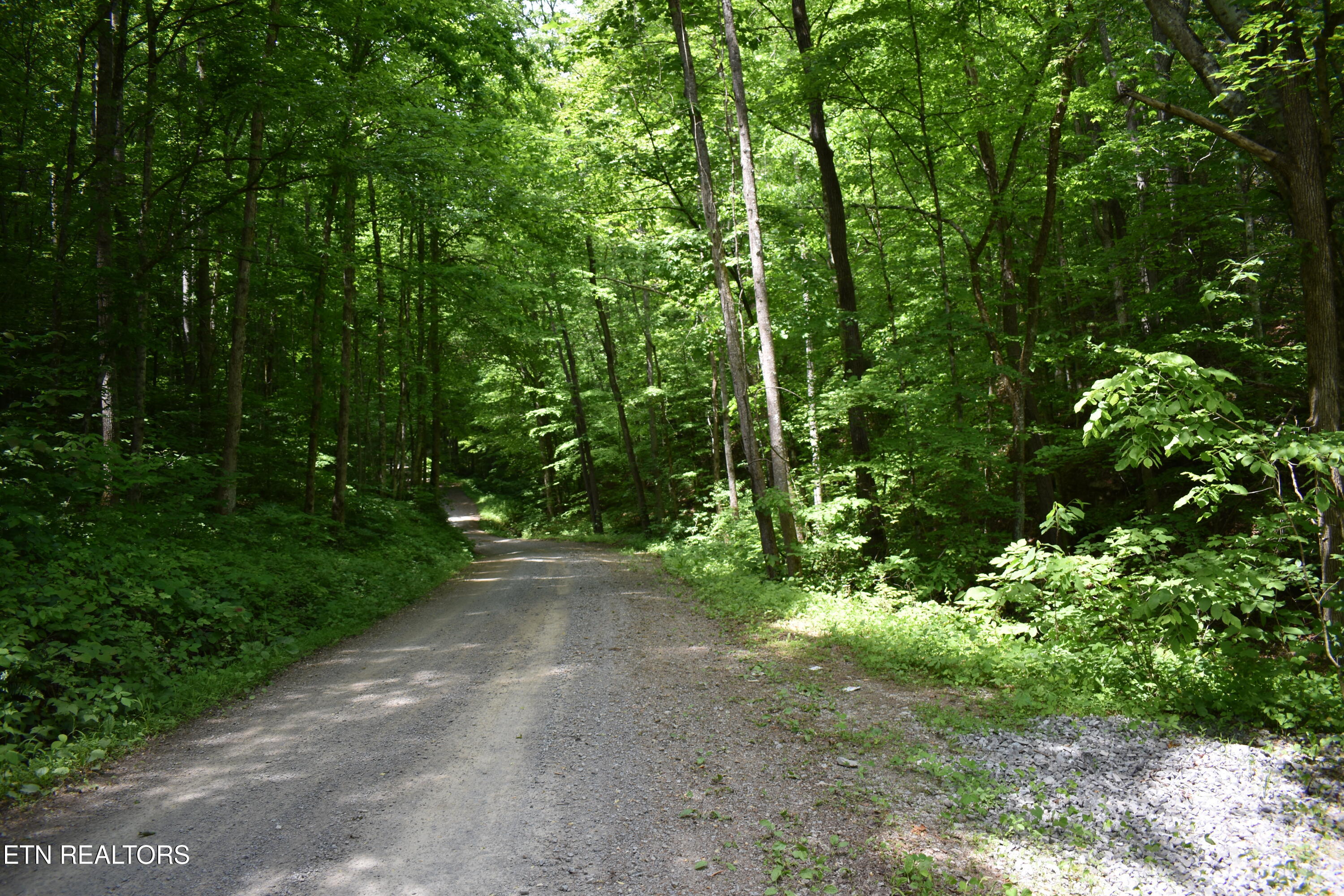Shady Valley Road Rose Hill, VA 24281 - Photo 4 of 28 DSC_0004