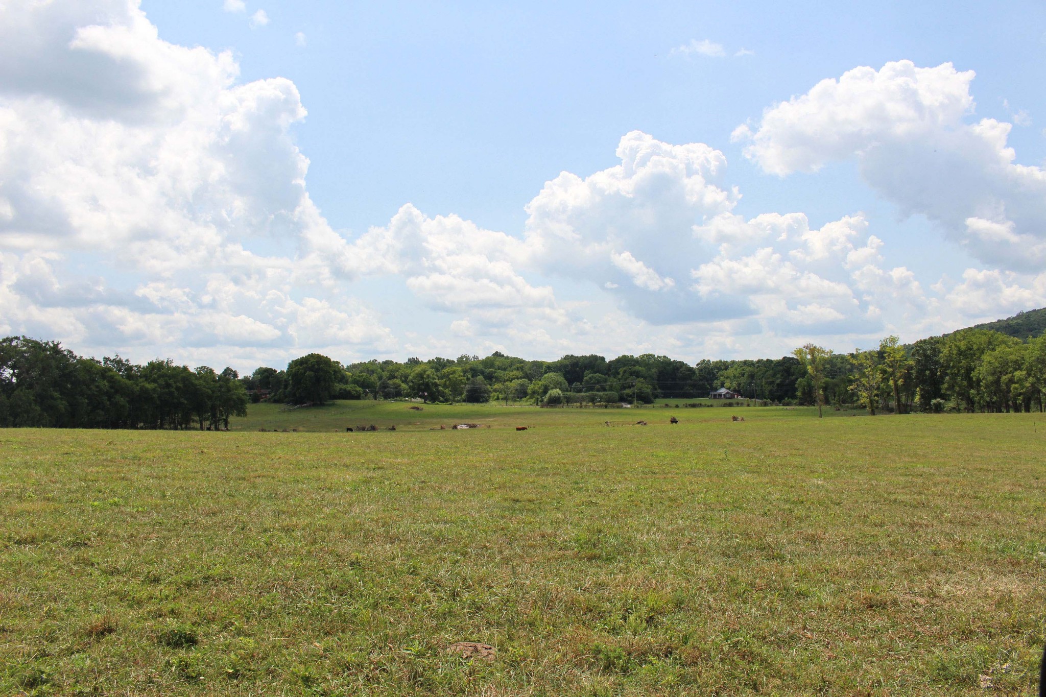 12785 Versailles Road Murfreesboro, TN 37128 - Photo 1 of 20 a view of a lake and mountain view