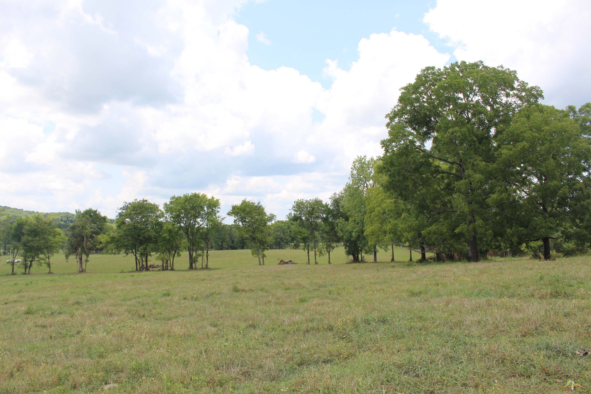 12785 Versailles Road Murfreesboro, TN 37128 - Photo 14 of 20 a view of outdoor space with green field and trees