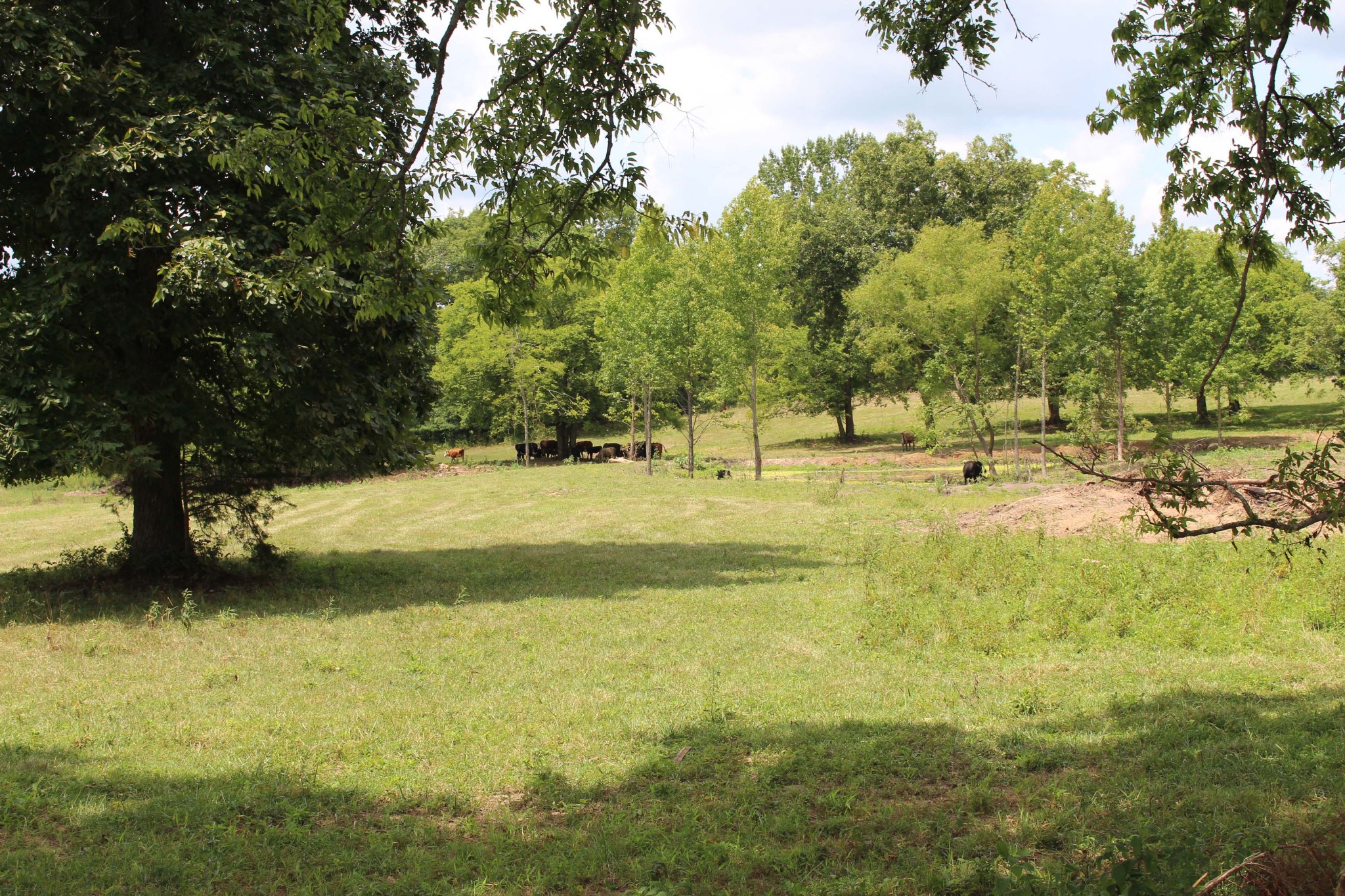 12785 Versailles Road Murfreesboro, TN 37128 - Photo 5 of 20 a view of yard with swimming pool and green space
