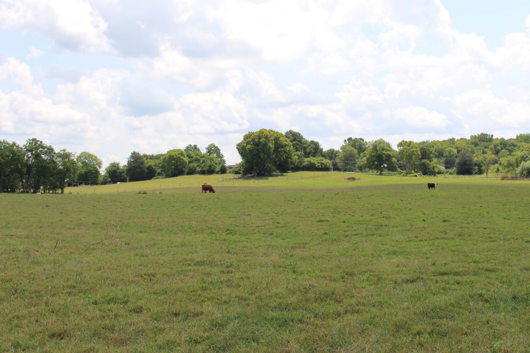 12785 Versailles Road Murfreesboro, TN 37128 - Photo 6 of 20 a view of a lake with a big yard