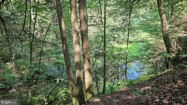 a view of a field of grass and trees