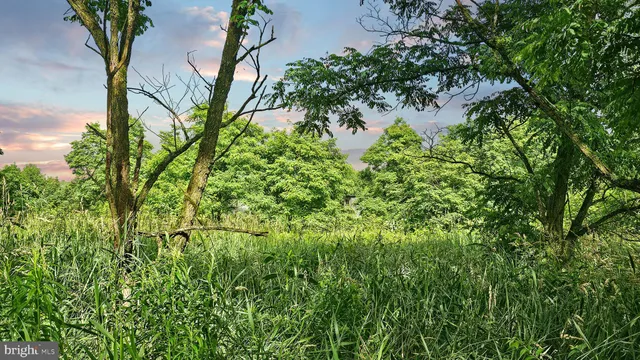 $436,665 | 142.09-acres Mahaffey Grampian Highway, Mahaffey, PA 15757