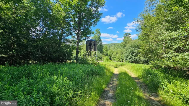 $436,665 | 142.09-acres Mahaffey Grampian Highway, Mahaffey, PA 15757