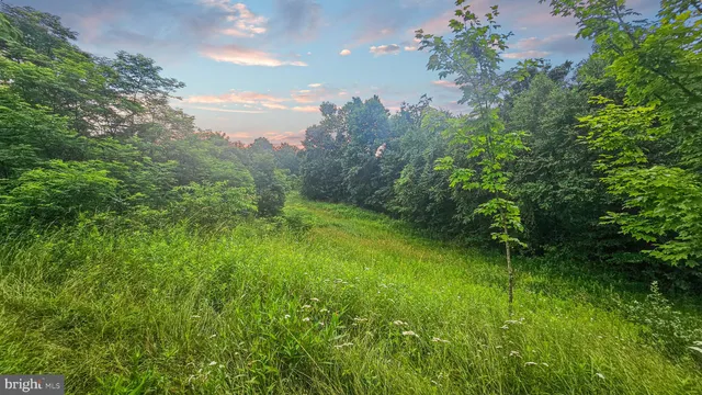 $436,665 | 142.09-acres Mahaffey Grampian Highway, Mahaffey, PA 15757