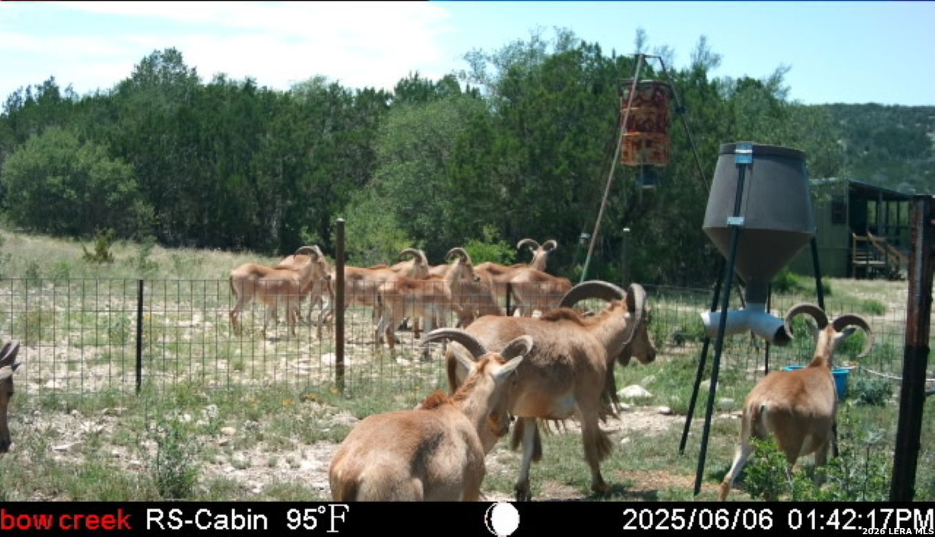 2190 Cr 650 Rocksprings Tx 78880 Del Rio, TX 78840 - Photo 9 of 62 Gallery Image 9