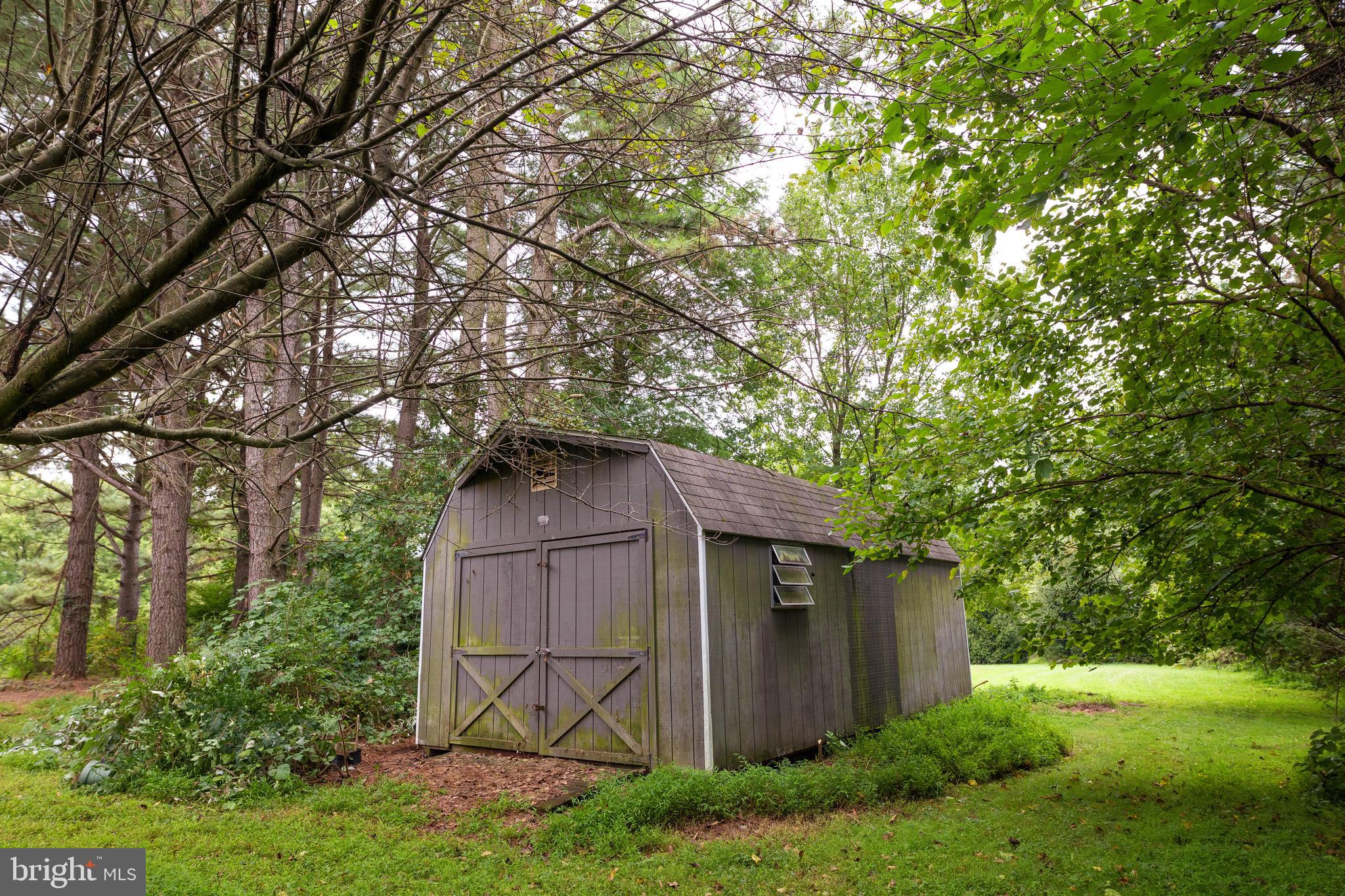 455 Trinity Church Road North East, MD 21901 - Photo 22 of 26 Shed
