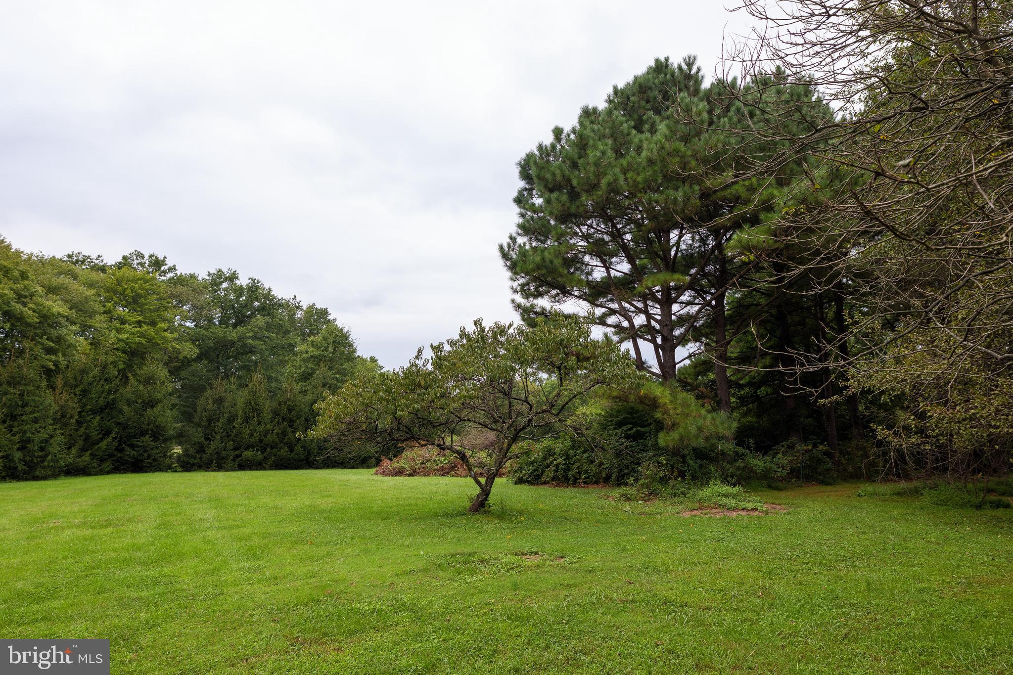 455 Trinity Church Road North East, MD 21901 - Photo 24 of 26 Yard