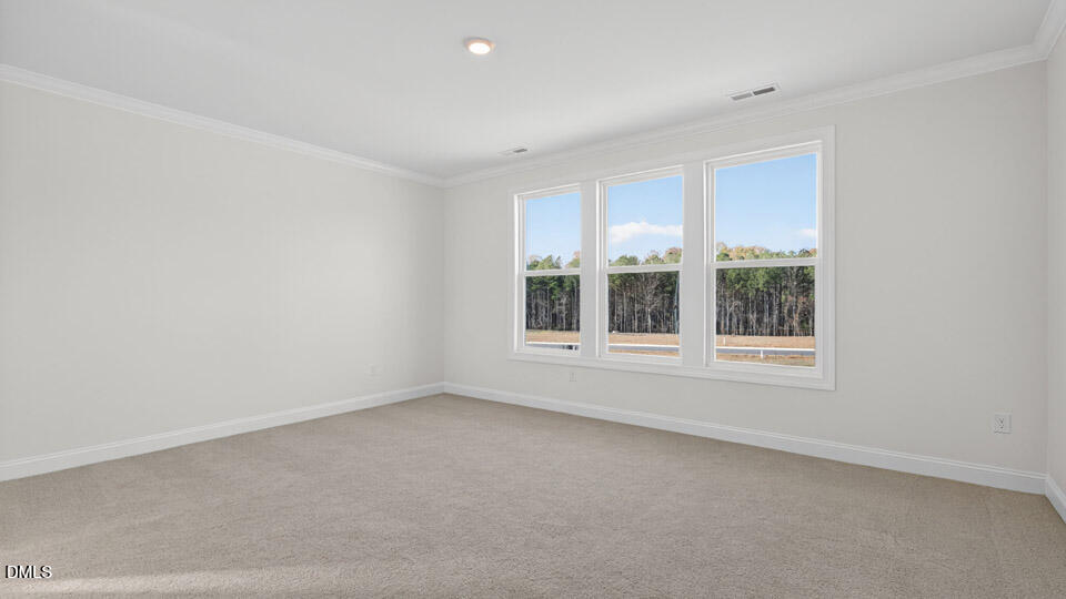 640 Bumblebee Loop Apex, NC 27539 - Photo 16 of 33 Bedroom