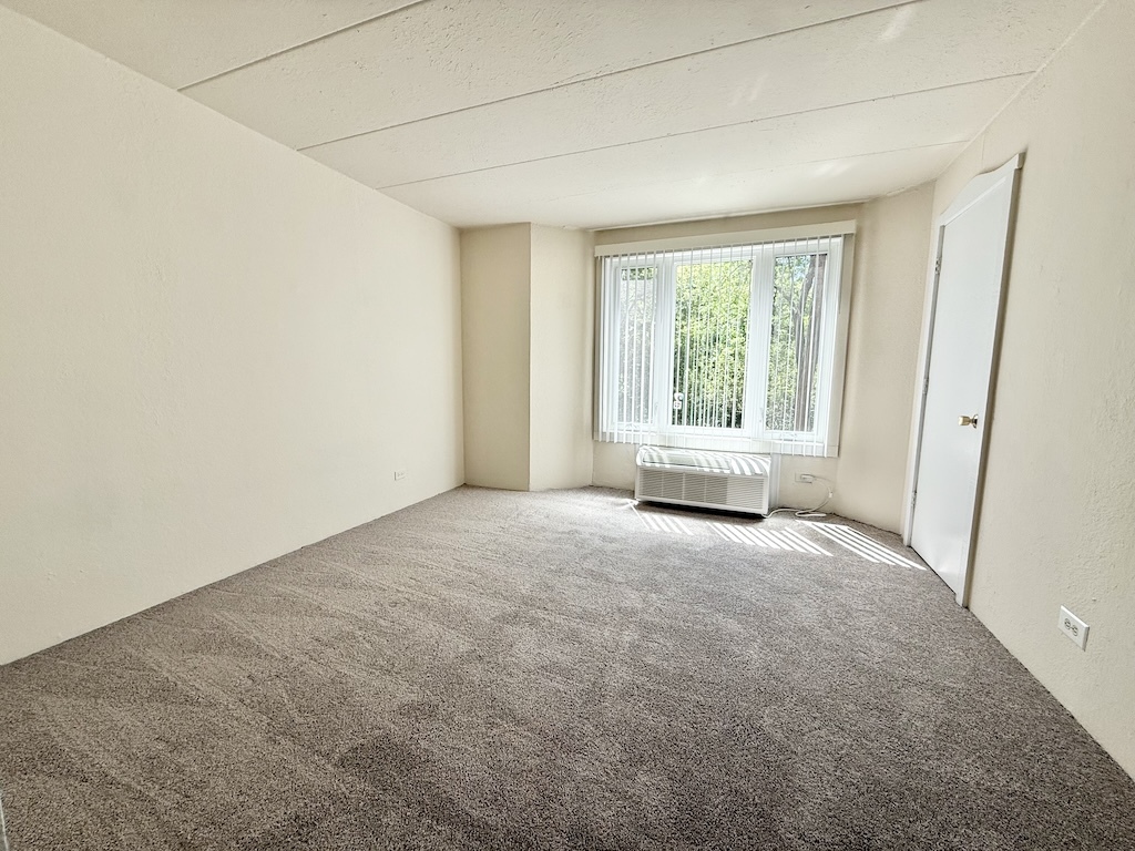 1 Renaissance Place, Unit 215 Palatine, IL 60067 - Photo 9 of 13