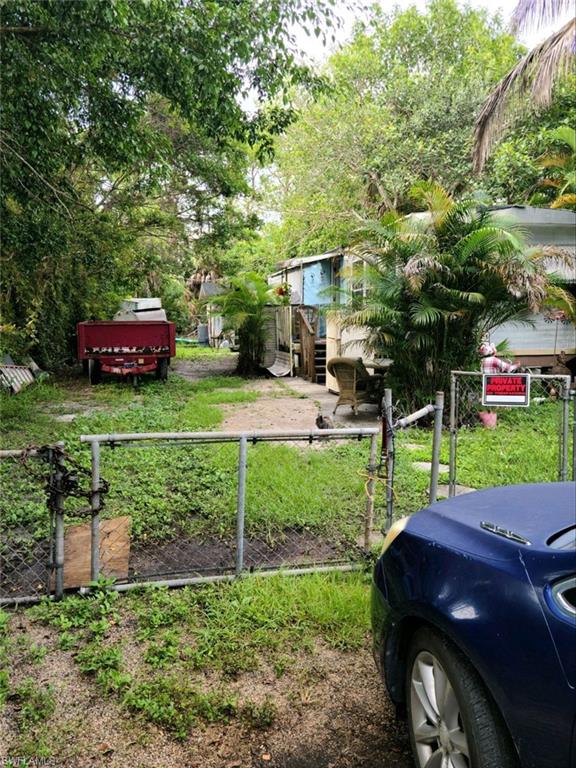 a view of a yard with plants and large trees