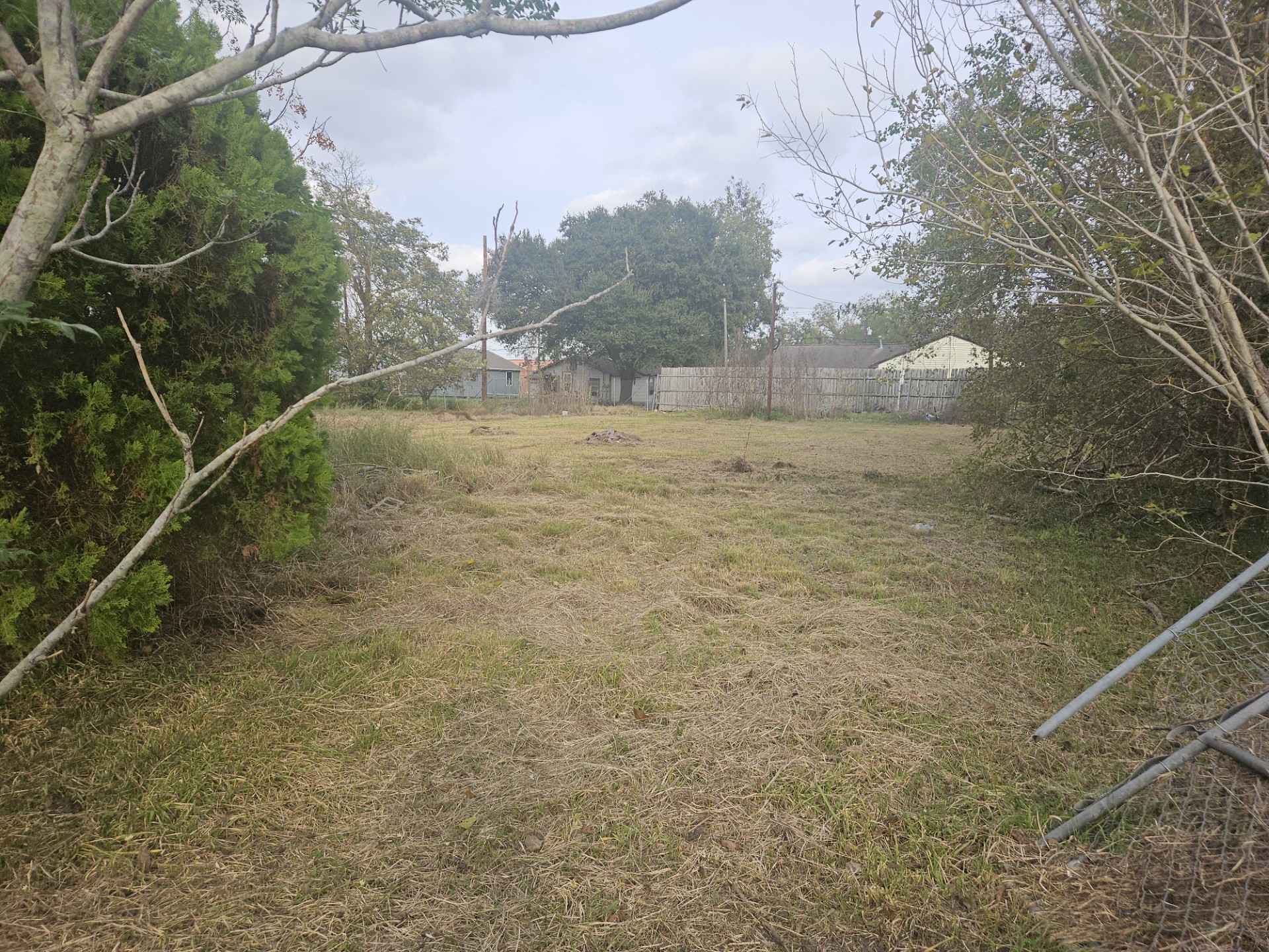 413 2nd Street Rosenberg, TX 77471 - Photo 2 of 3 a view of a yard