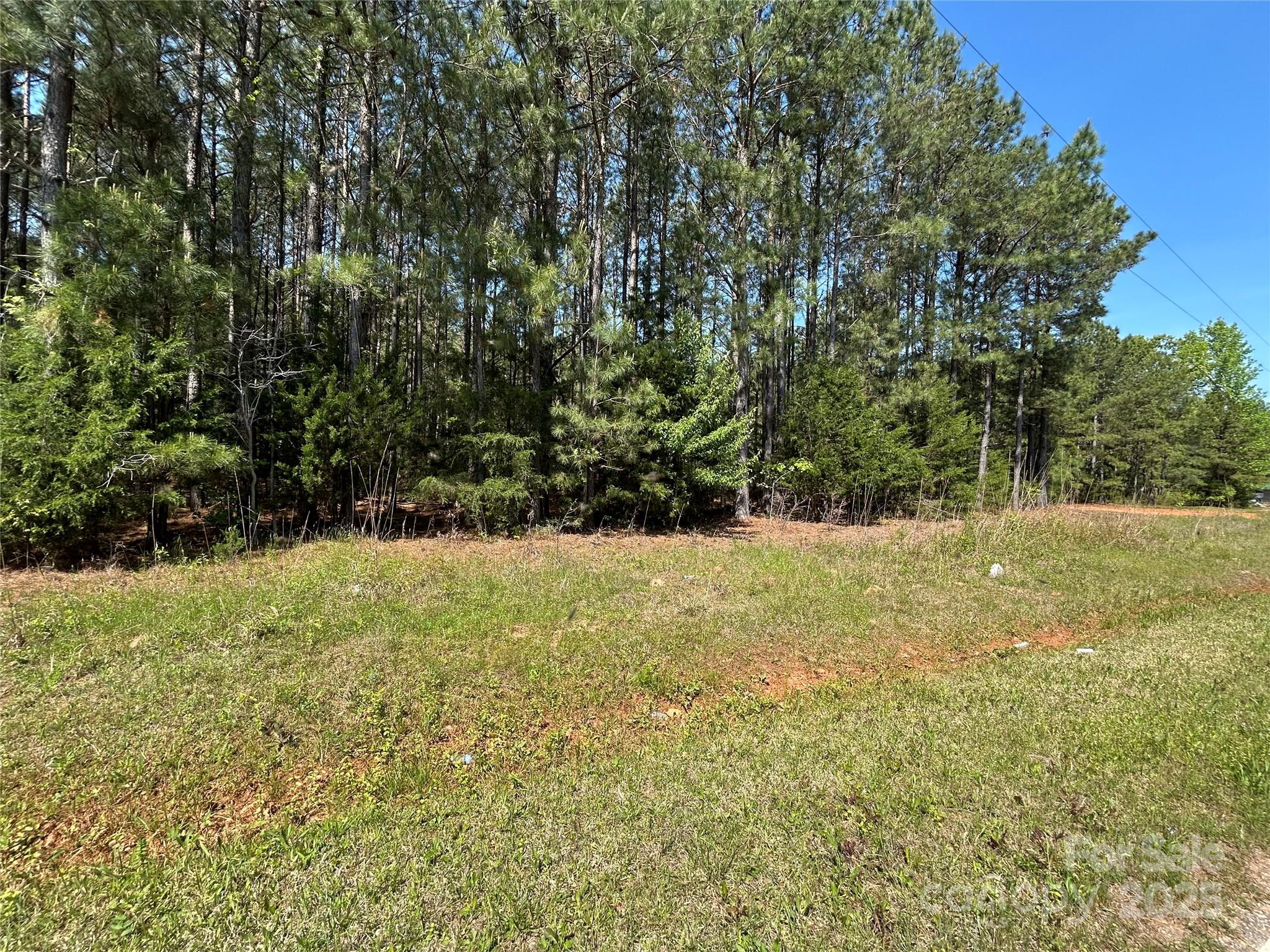 0 Hightower Road Fort Lawn, SC 29714 - Photo 4 of 6 a view of yard with green space