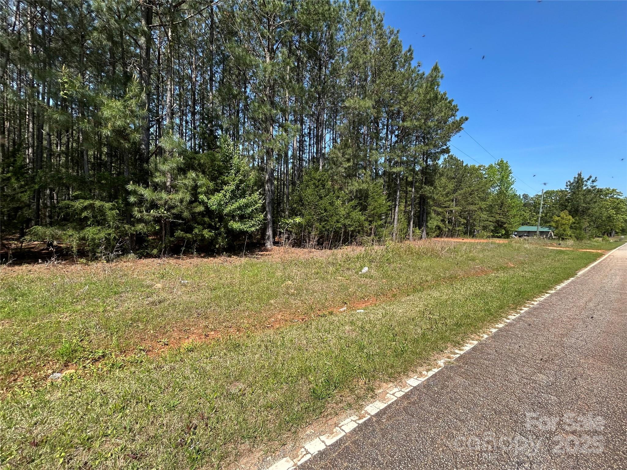 0 Hightower Road Fort Lawn, SC 29714 - Photo 5 of 6 a view of yard with green space