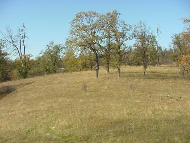 41-acres Aloha Road Bella Vista, CA 96008 - Photo 3 of 3 Listing Photo