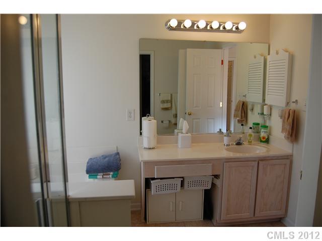 10529 Gold Pan Road Charlotte, NC 28215 - Photo 6 of 13 a bathroom with a sink vanity and a mirror