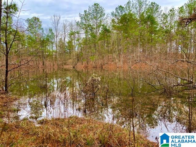 0 Deaver Walker Road Trafford, AL 35172 - Photo 23 of 28