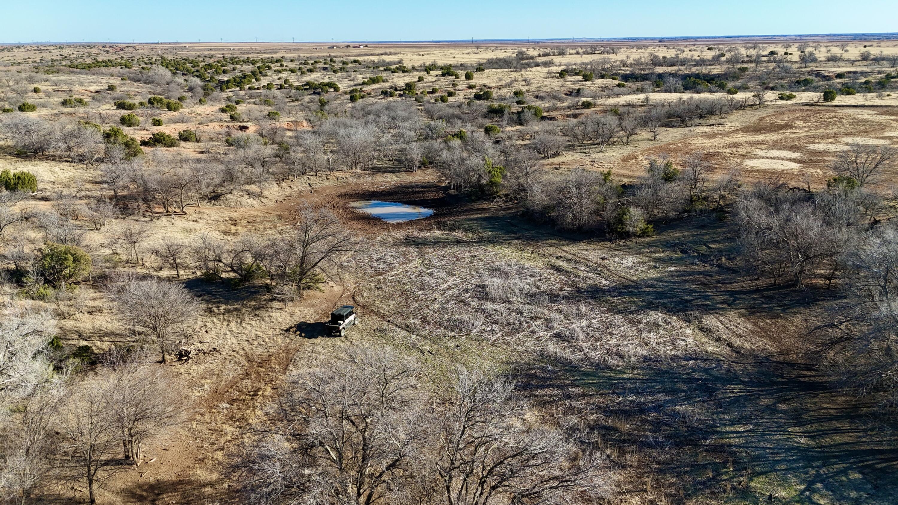 a view of a dry yard