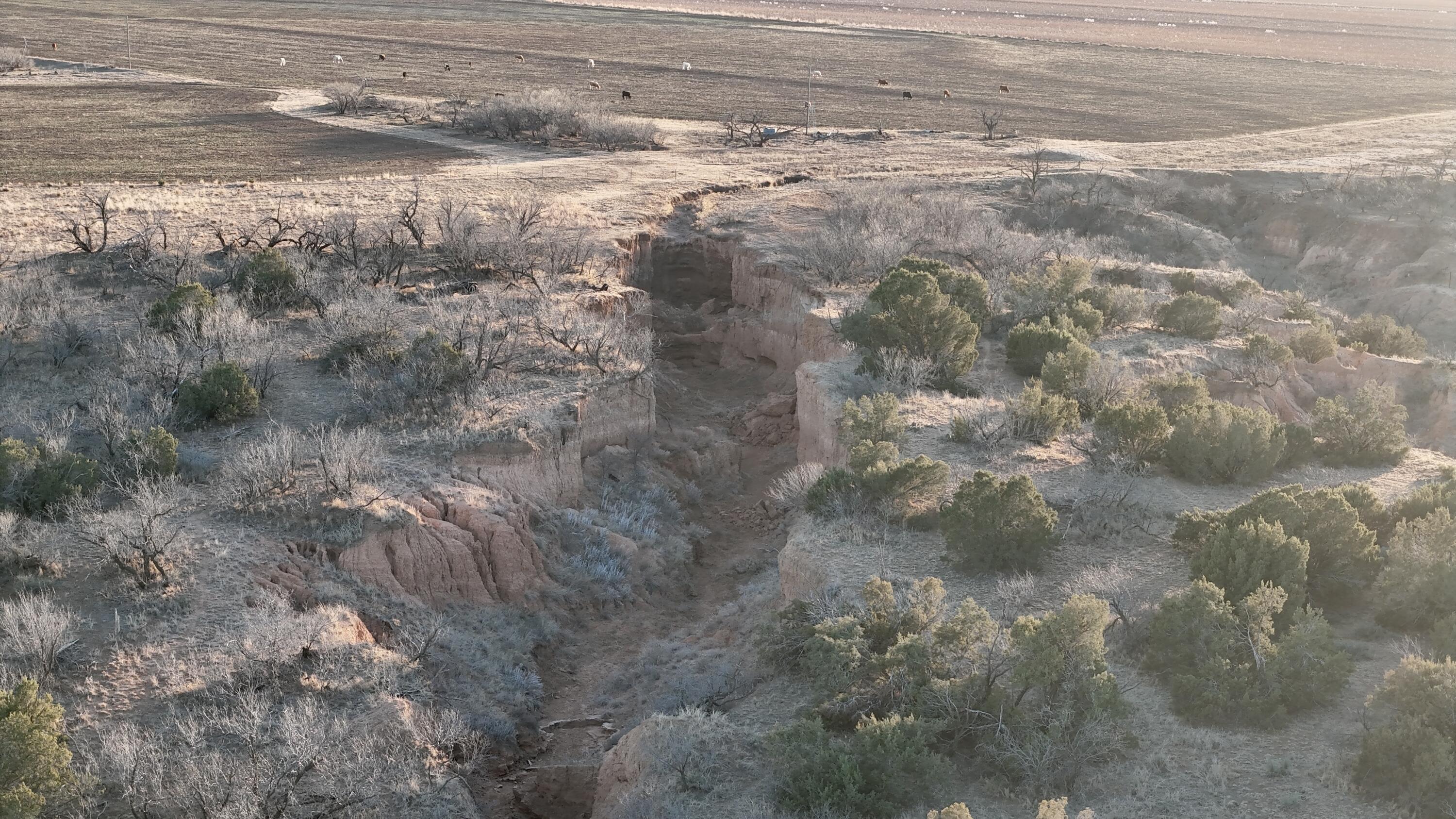 County Road Turkey, TX 79261 - Photo 11 of 53 a view of a yard