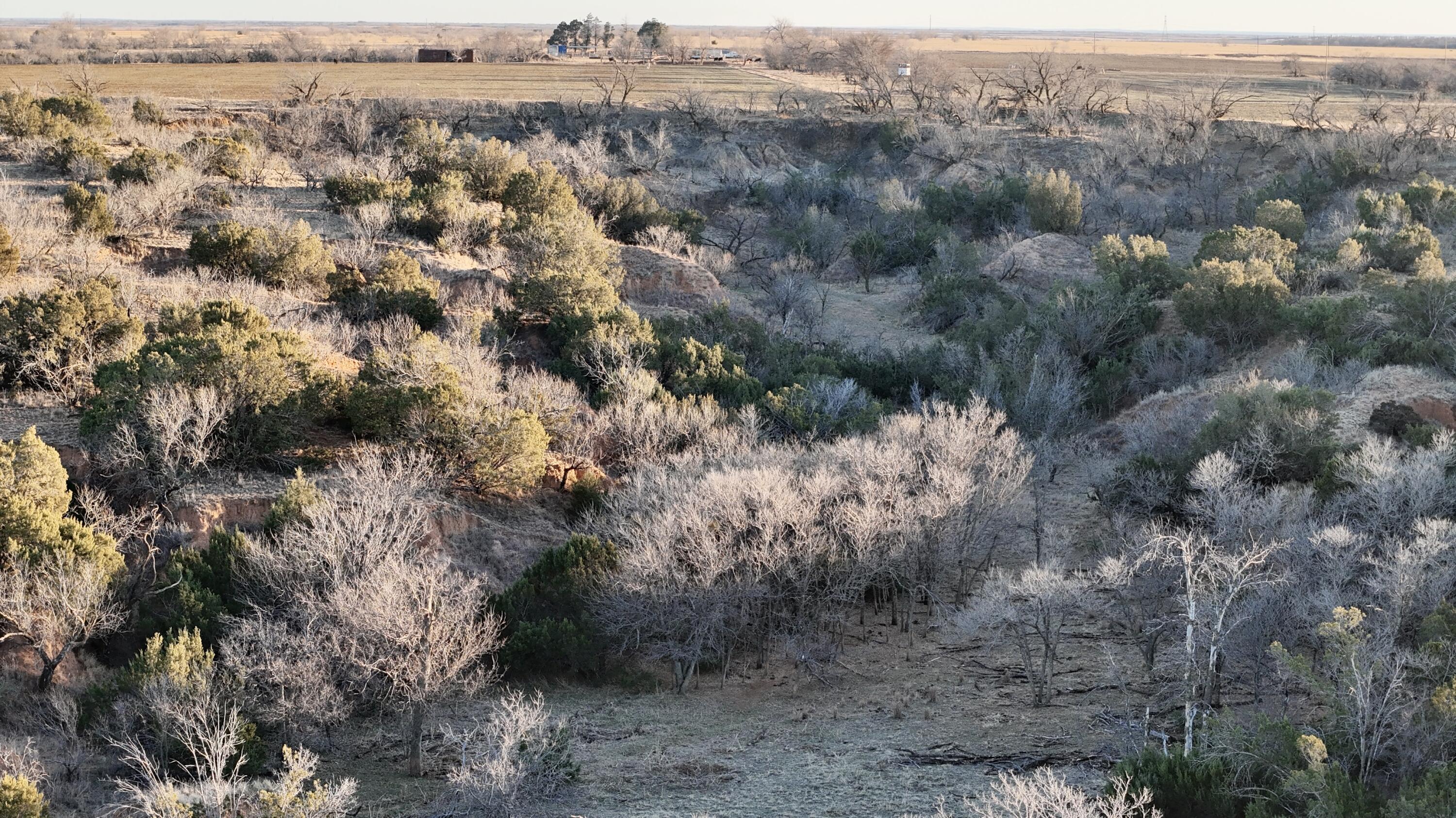County Road Turkey, TX 79261 - Photo 13 of 53 view of city and mountain