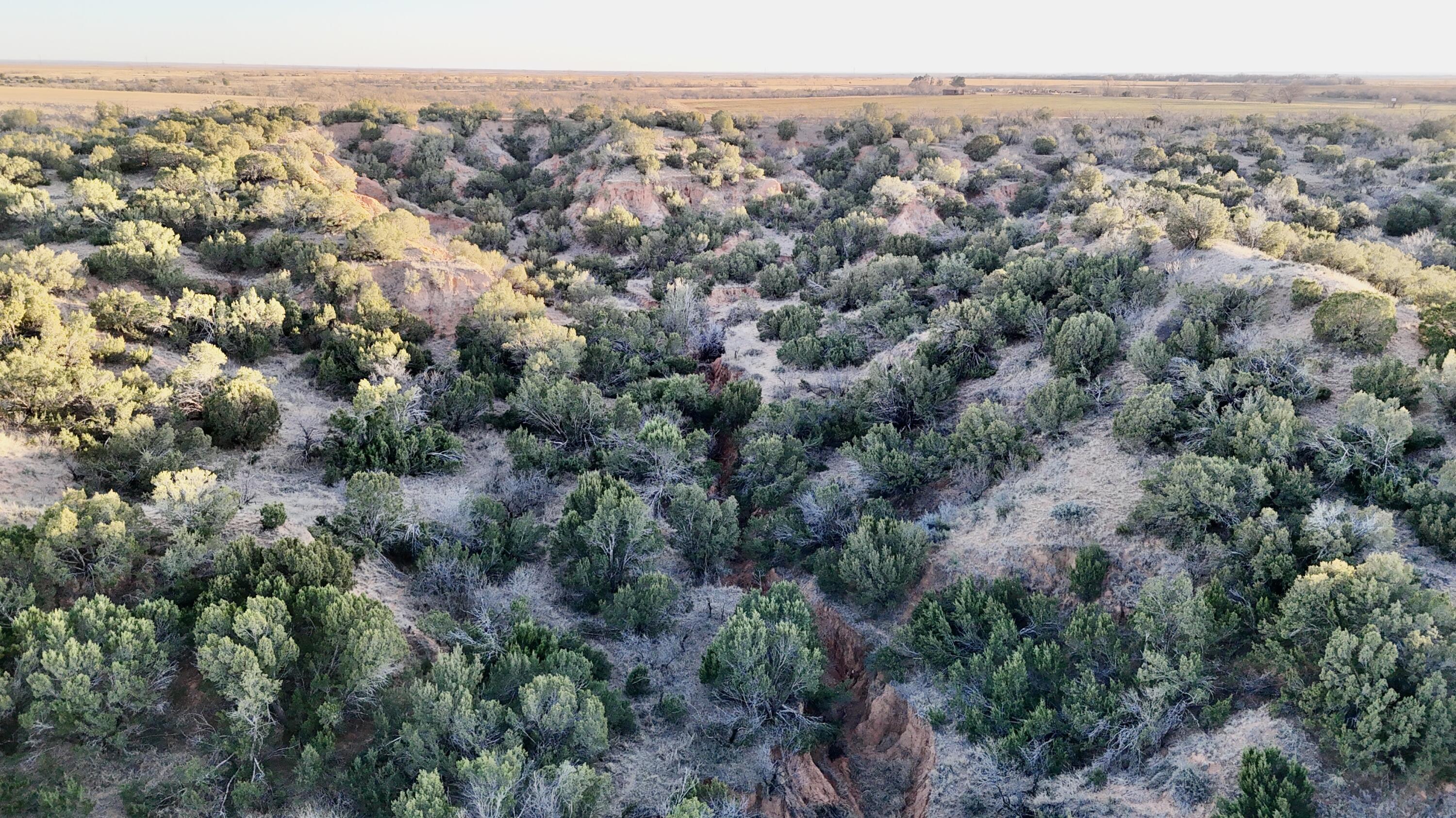 County Road Turkey, TX 79261 - Photo 15 of 53 an aerial view of a town with trees