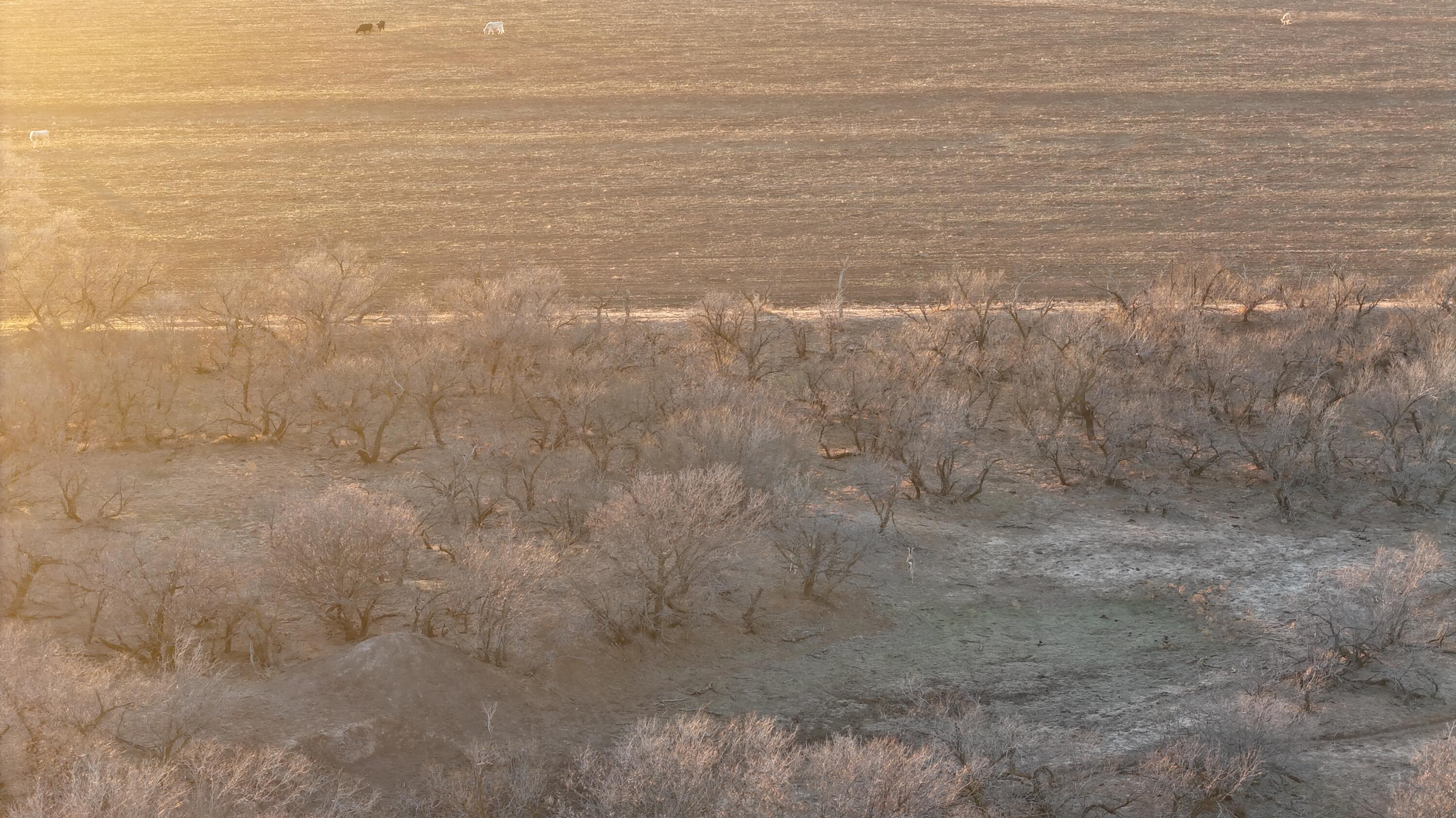 County Road Turkey, TX 79261 - Photo 19 of 53 a view of a small space