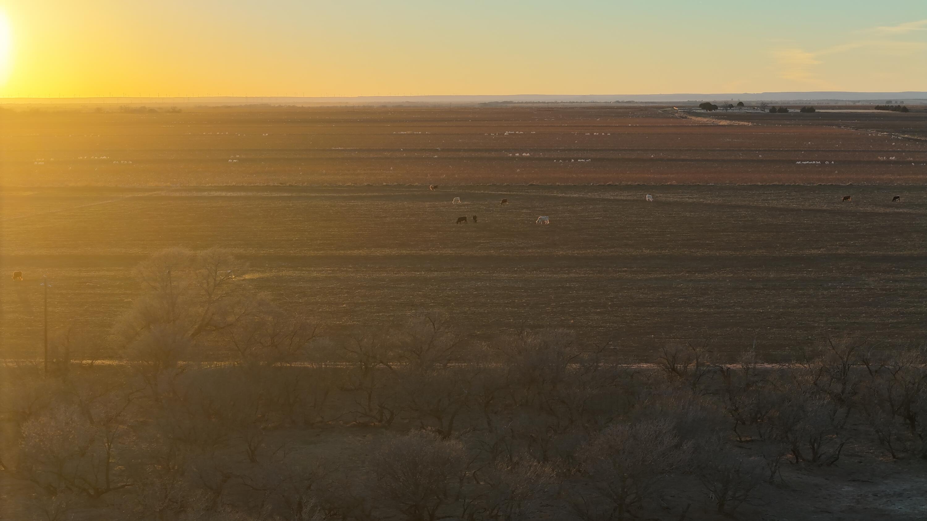 County Road Turkey, TX 79261 - Photo 20 of 53 a view of an ocean