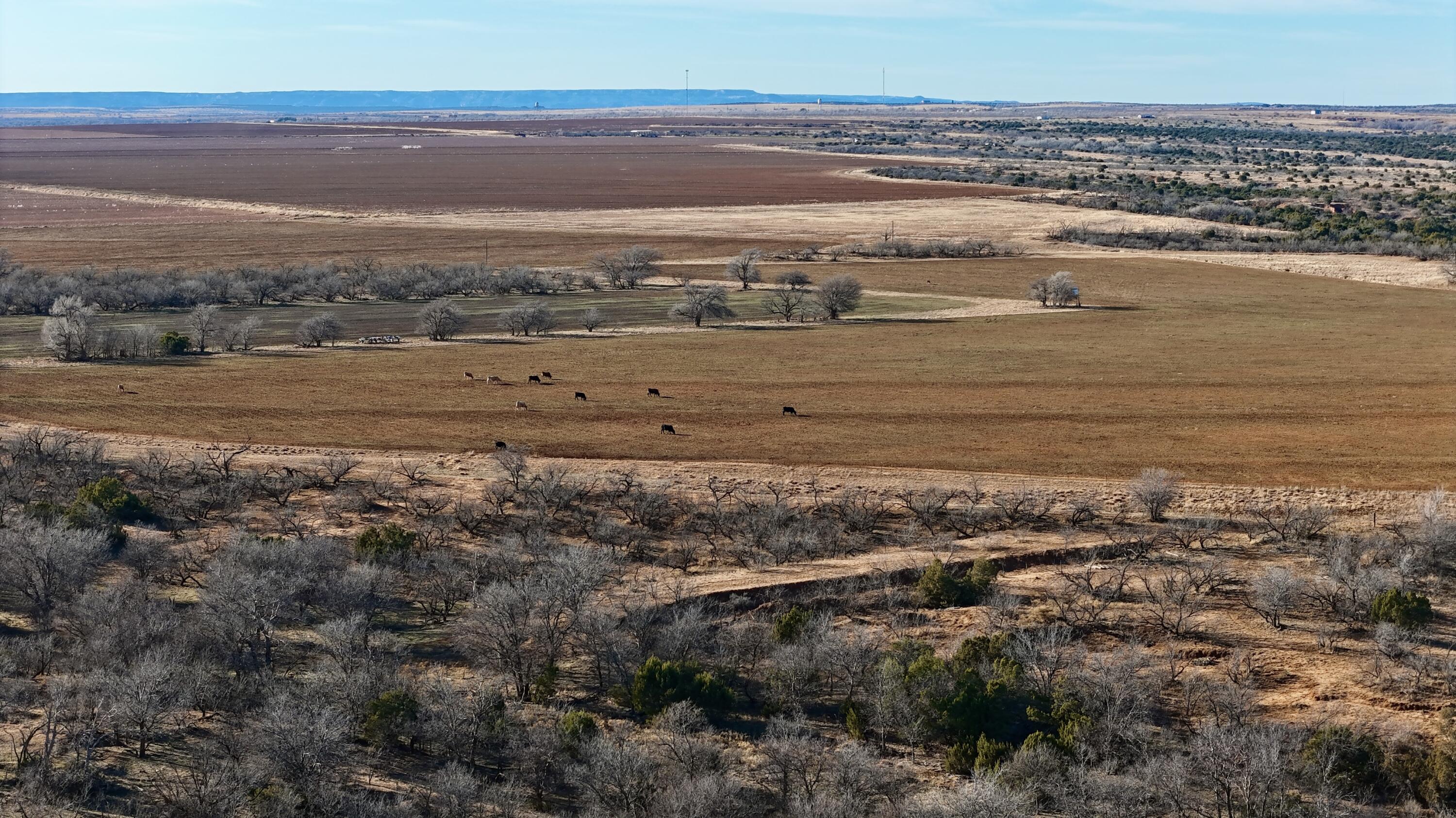 County Road Turkey, TX 79261 - Photo 2 of 53 a view of an ocean
