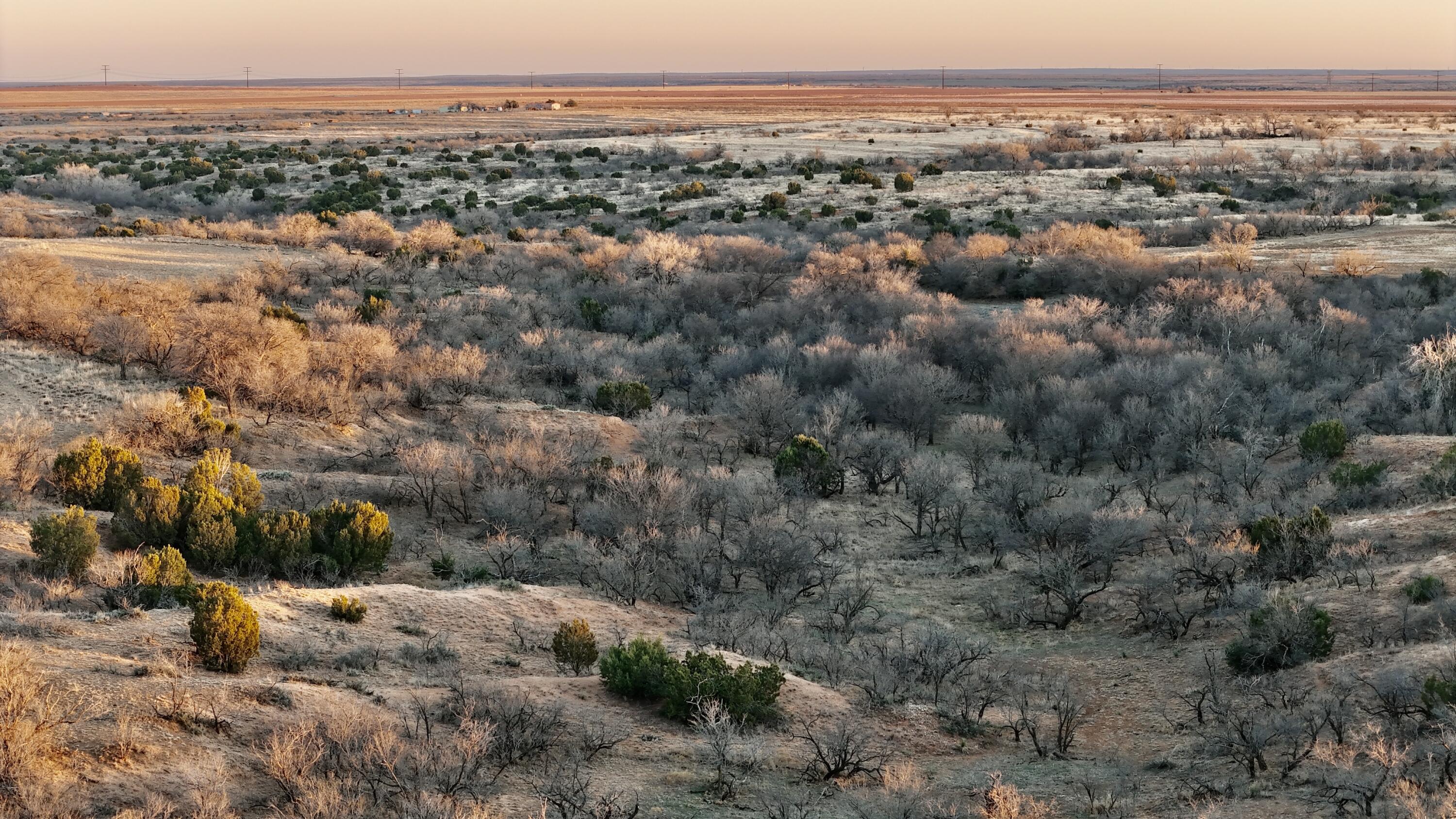 County Road Turkey, TX 79261 - Photo 23 of 53 a view of a city
