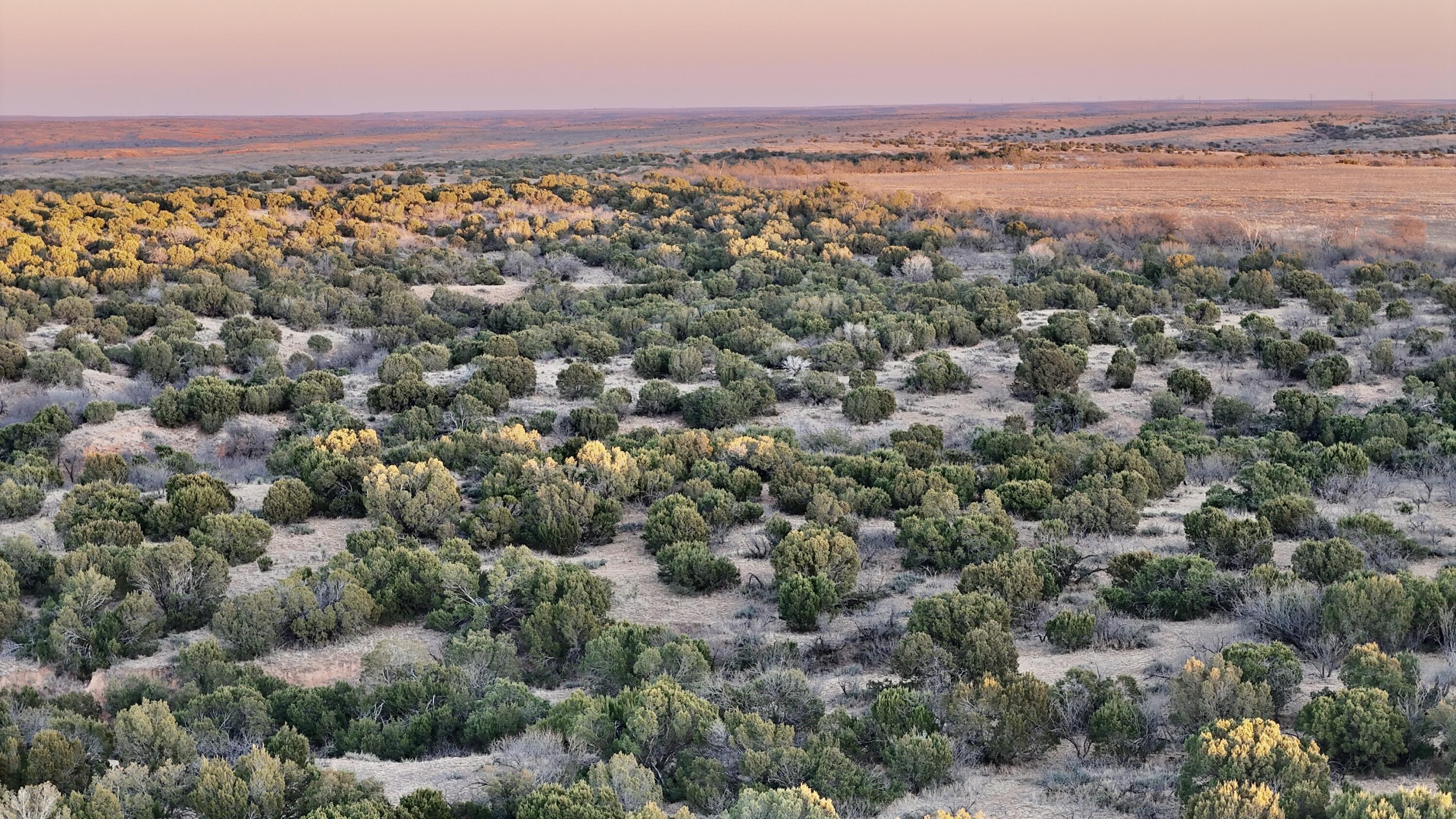 County Road Turkey, TX 79261 - Photo 25 of 53 DJI_20260211181515_0064_D