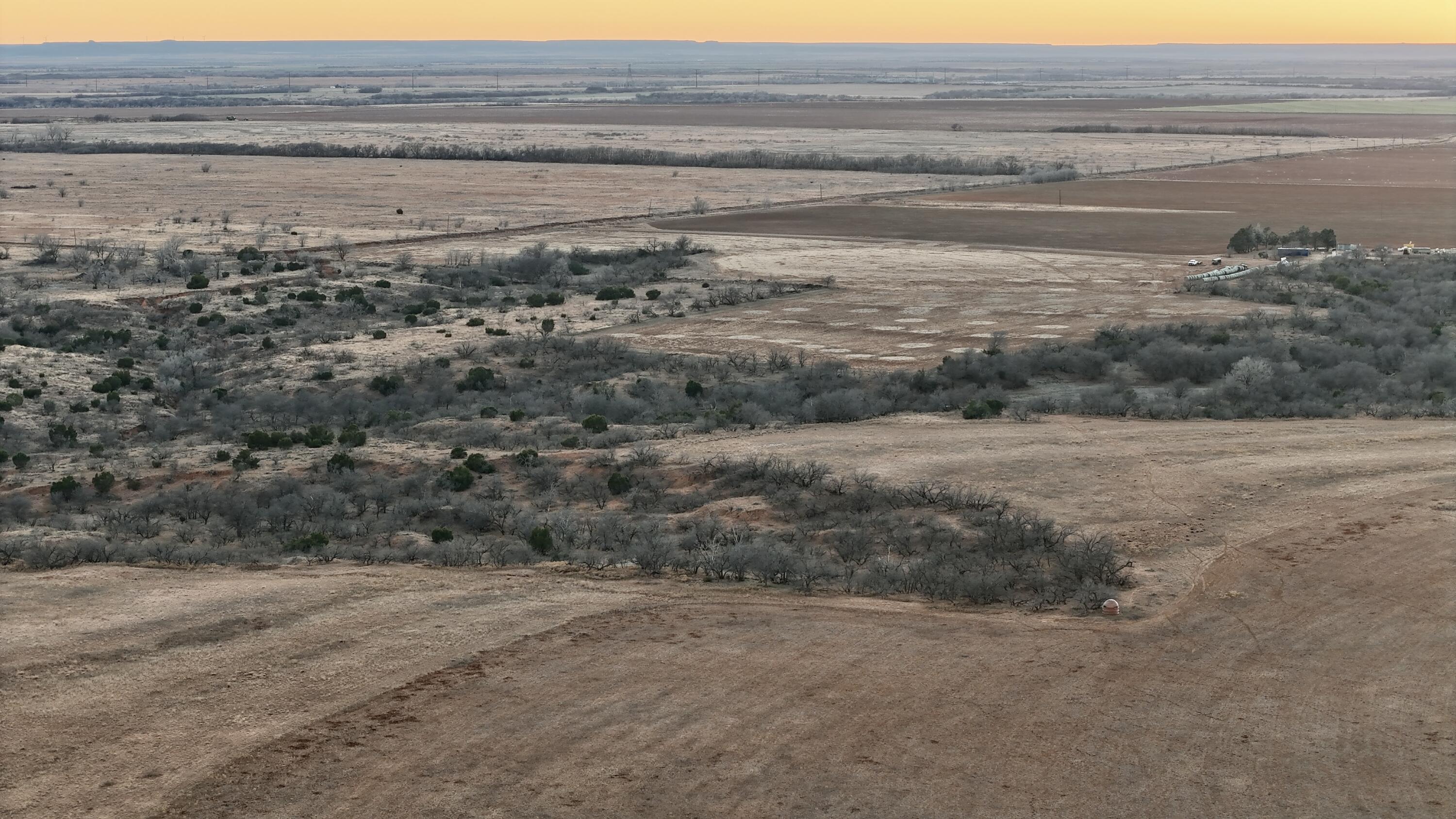 County Road Turkey, TX 79261 - Photo 29 of 53 a view of a dry yard with wooden floor