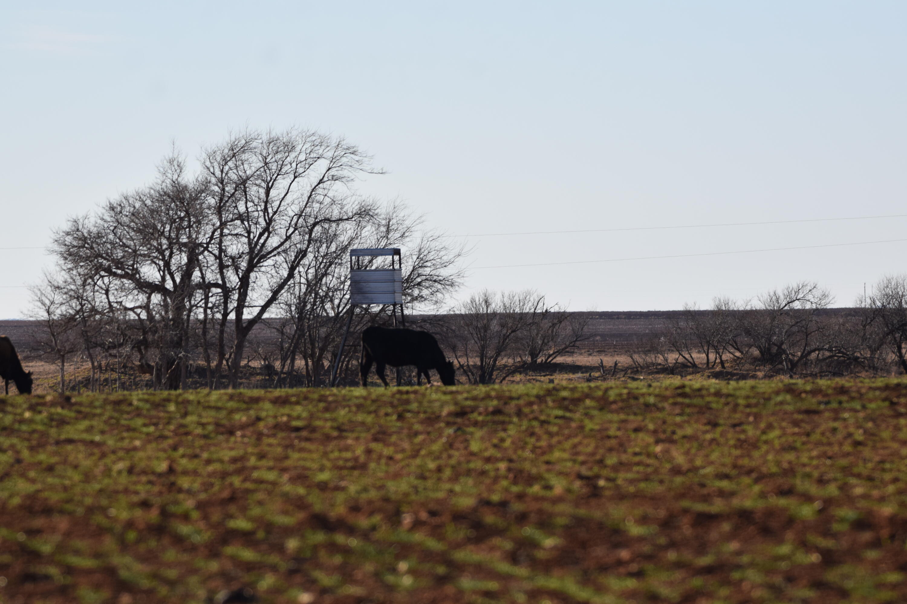 County Road Turkey, TX 79261 - Photo 38 of 53 a view of a lake with houses with yard