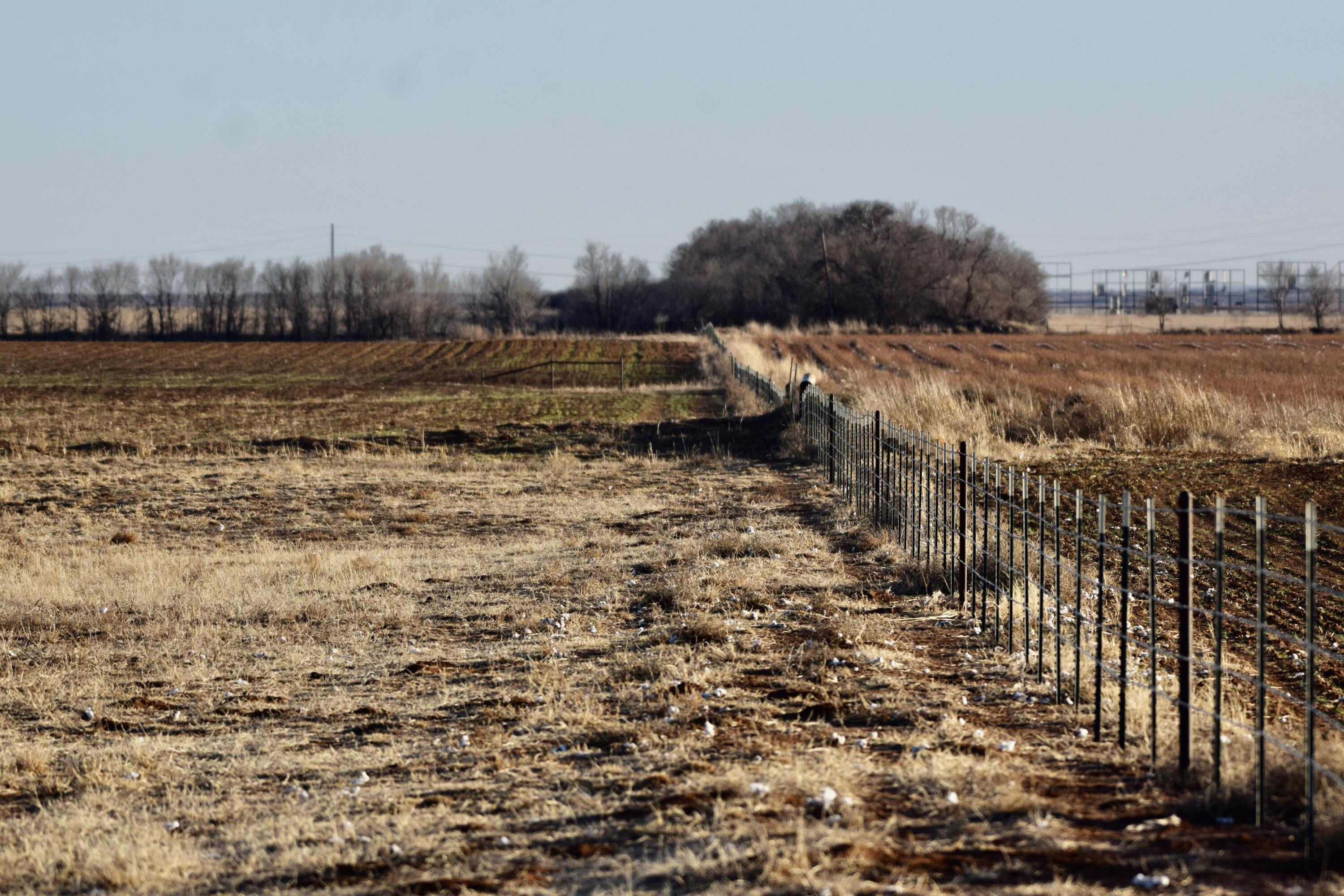 County Road Turkey, TX 79261 - Photo 40 of 53 a view of a pathway with a building in the background