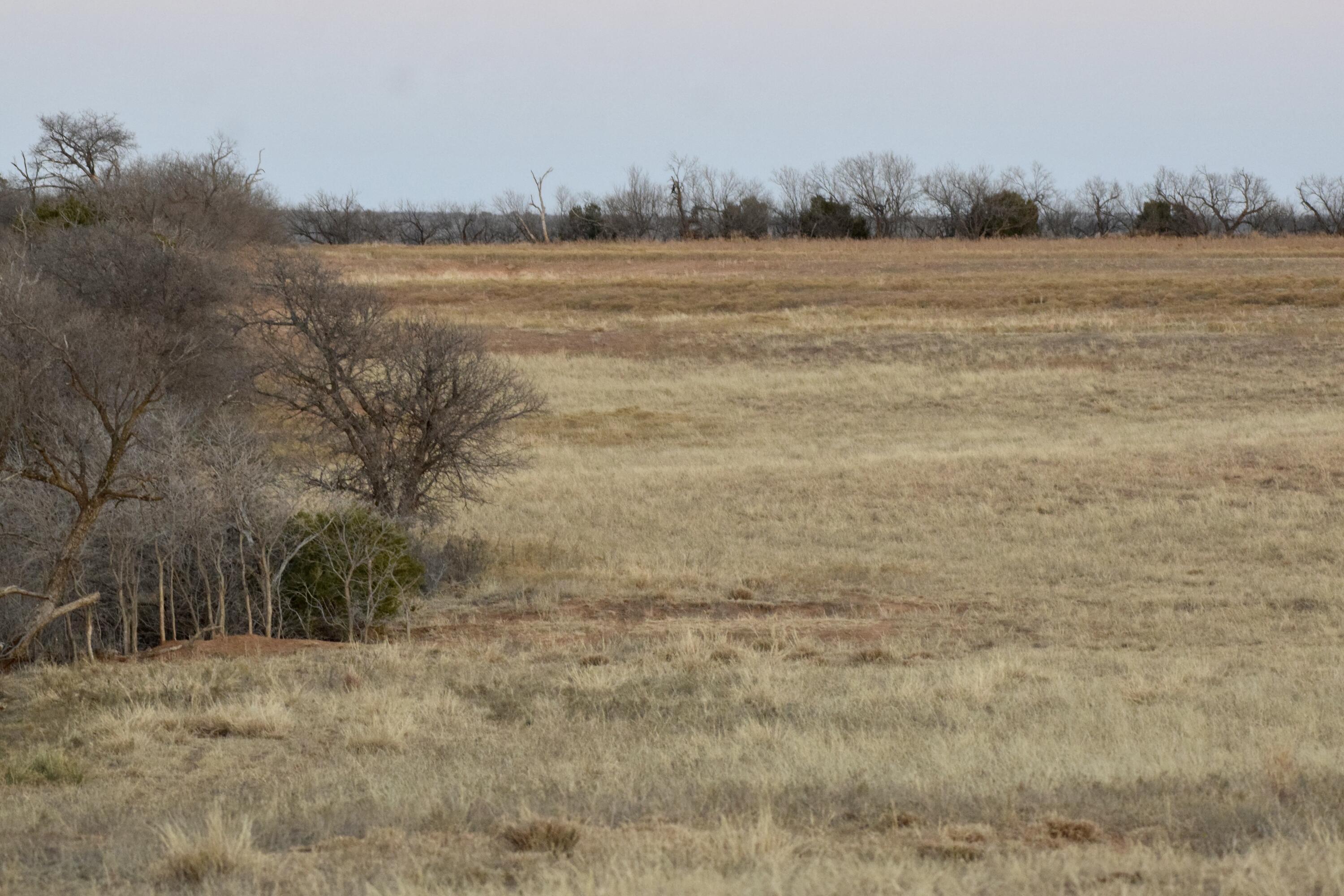 County Road Turkey, TX 79261 - Photo 42 of 53 a view of a lake view