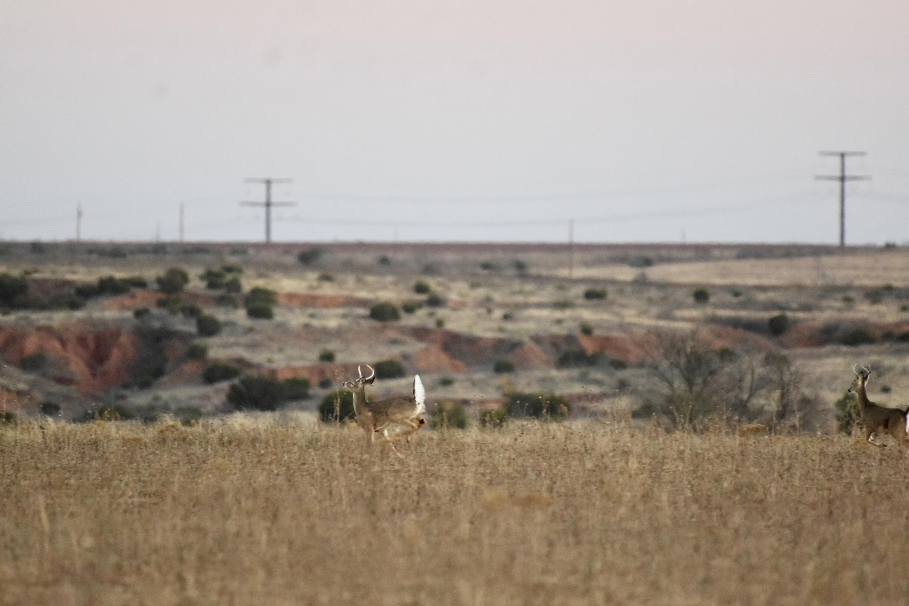 County Road Turkey, TX 79261 - Photo 43 of 53 a view of a city