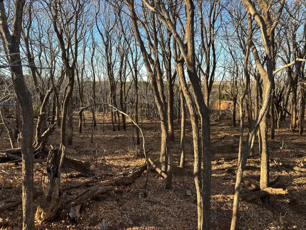 a view of a backyard of the house