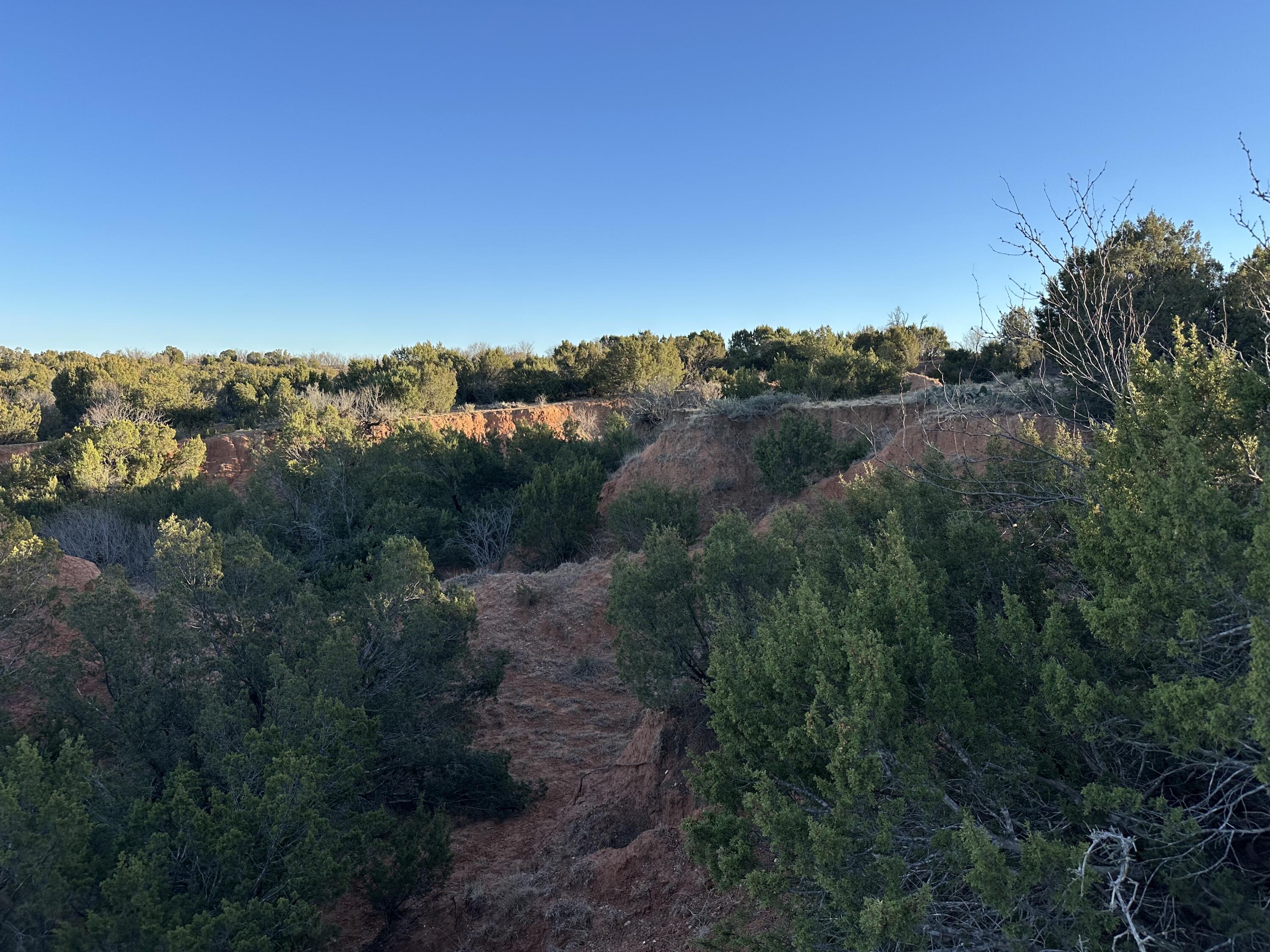 County Road Turkey, TX 79261 - Photo 52 of 53 a view of a houses with a yard