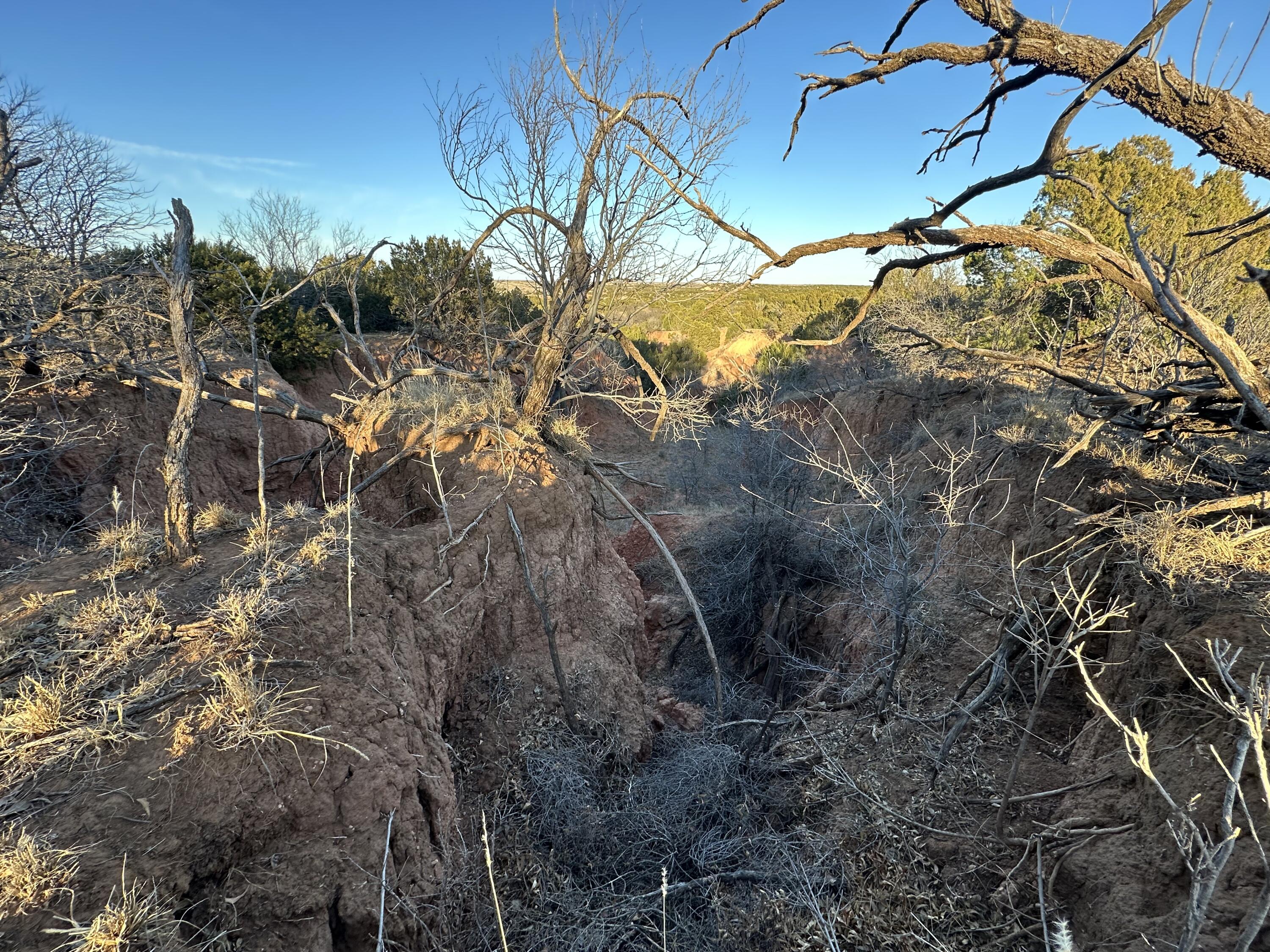 County Road Turkey, TX 79261 - Photo 53 of 53 a view of a backyard of the house