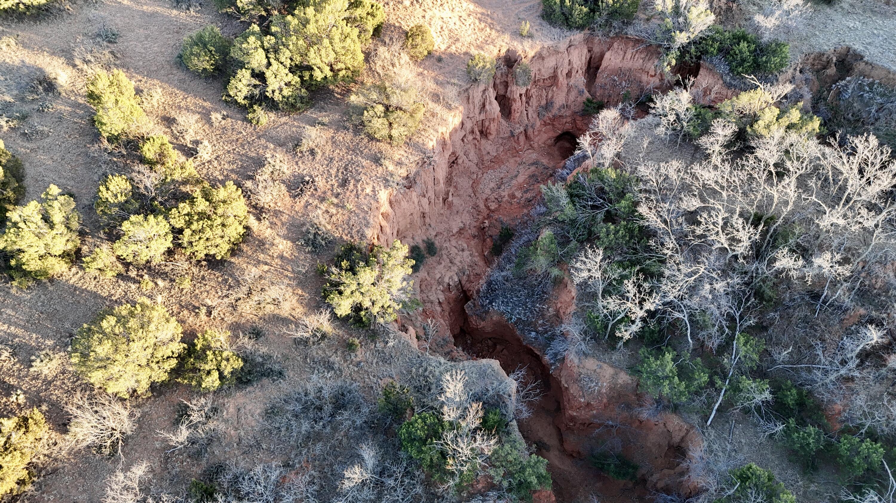 County Road Turkey, TX 79261 - Photo 9 of 53 a view of a tree with a yard