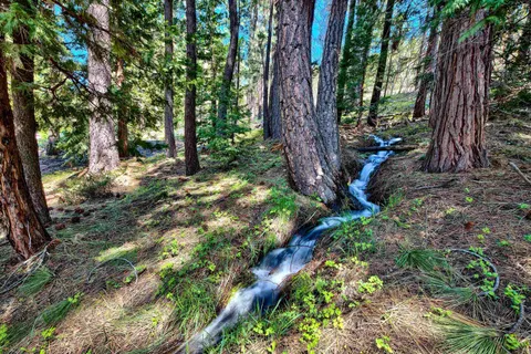 a view of a green field