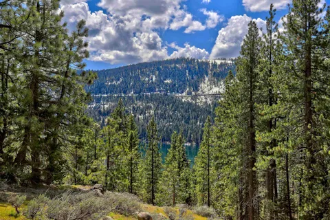a view of a park with some trees