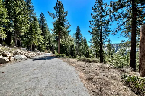 a view of backyard with trees
