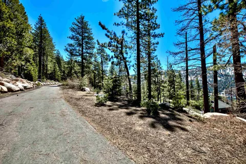 a view of a park with some trees