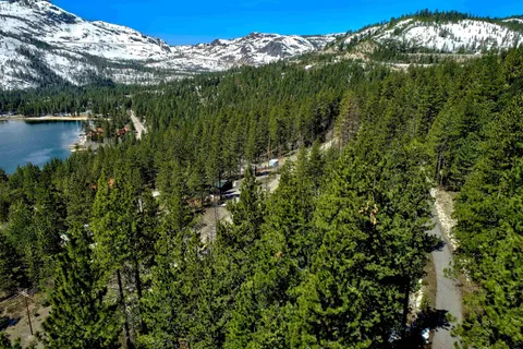 a view of a lush green forest with lots of trees