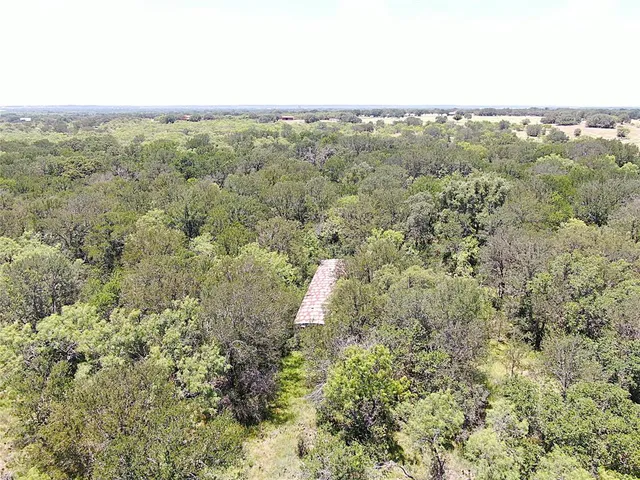 a view of a city with lush green forest