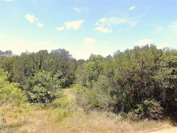 a view of a bunch of trees in a field