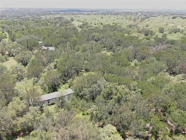 a view of a forest with a forest
